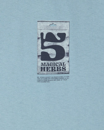 pánské triko EDWIN 5 Magical herbs TS